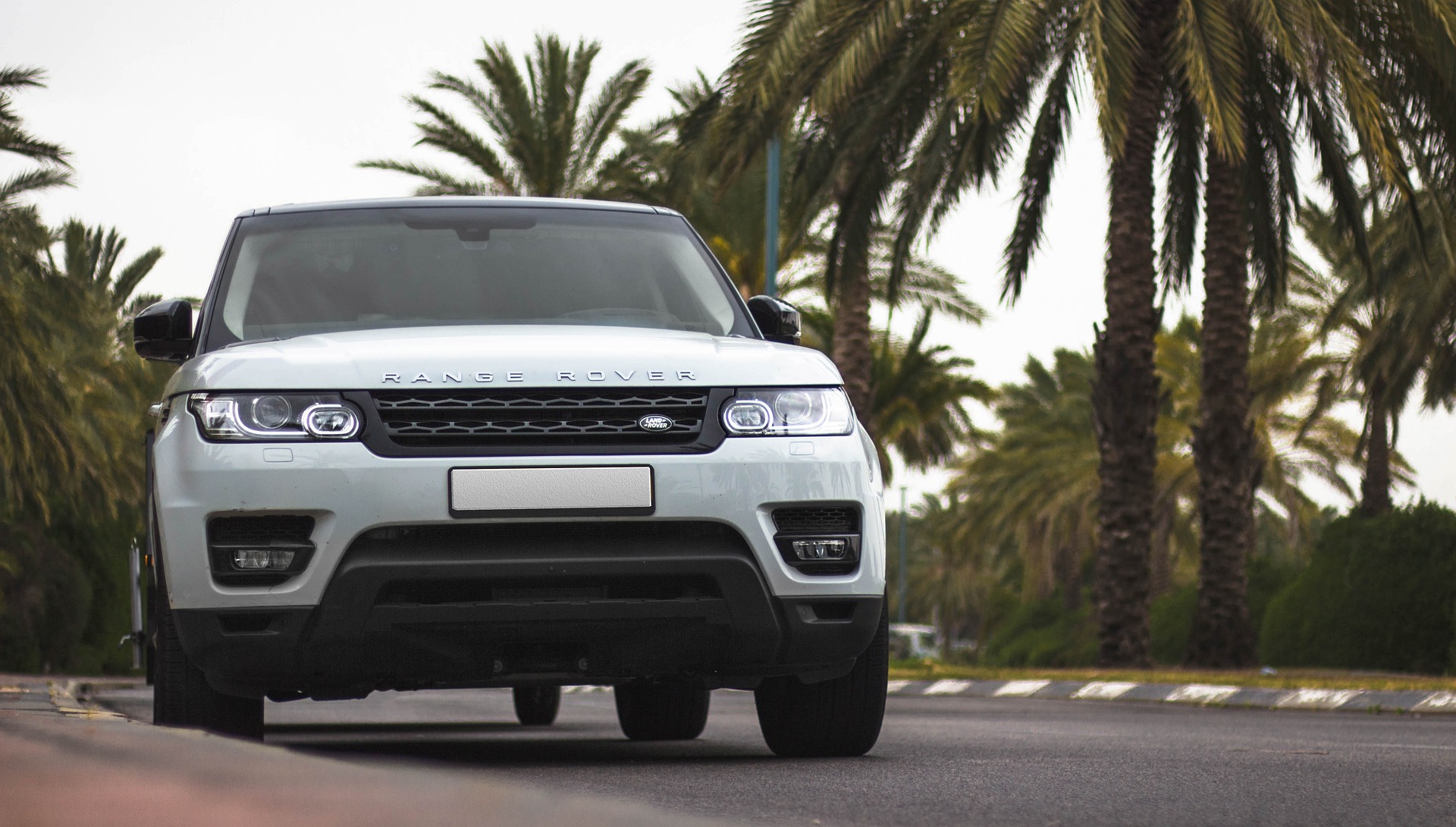 coche blanco de Land Rover